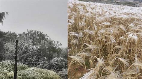 Heladas nevadas y frente frío azotan a siete regiones Radio INTEGRACION