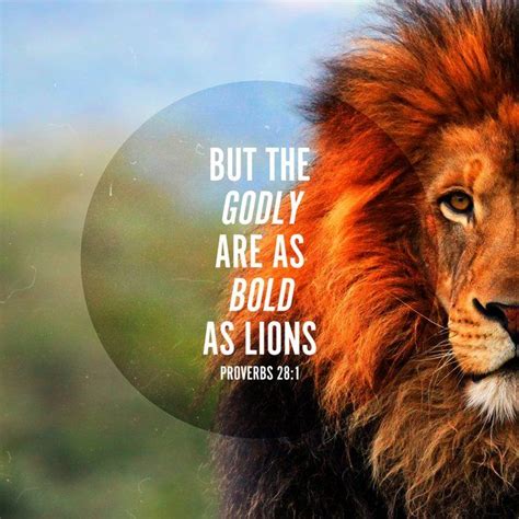 Bold As Lions Art Print By Pocket Fuel X Small Lion Bible Verse