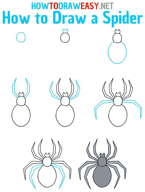 How To Draw A Spider Step By Step Spider Drawing Spiderman Drawing