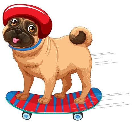 Top 93 Pictures Image Of A Dog On A Red Skateboard Updated