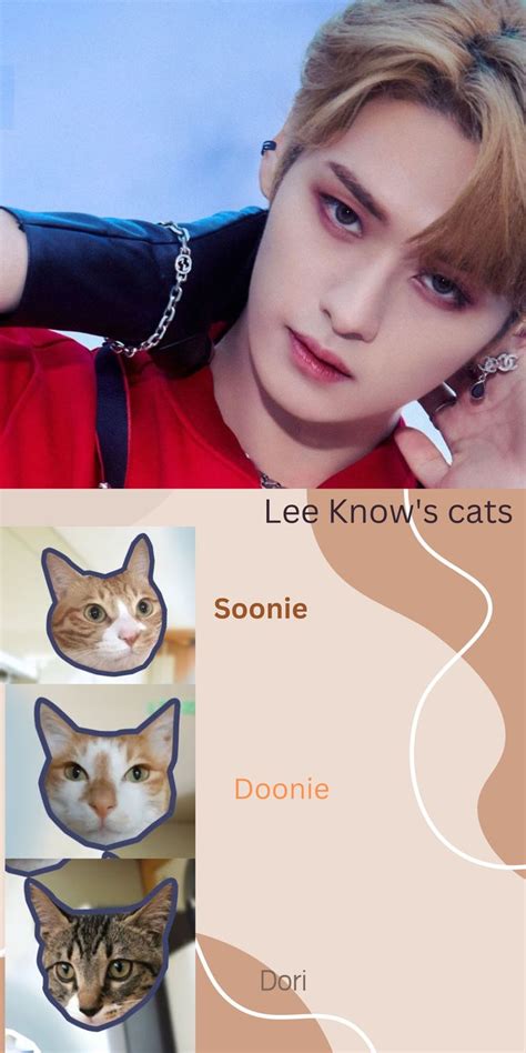 Lee Know Cats In 2023 Lee Know Soonie Doongie Dori Dory