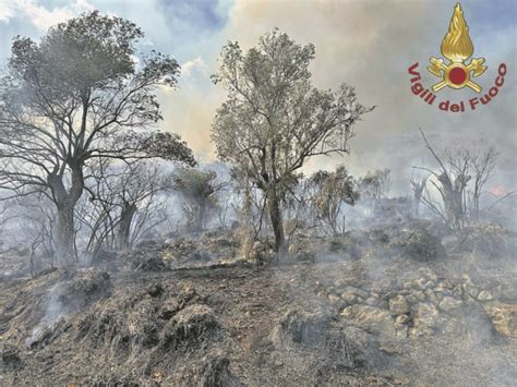 Incendio a Venafro è caccia ai piromani Ricci pronti a costituirci