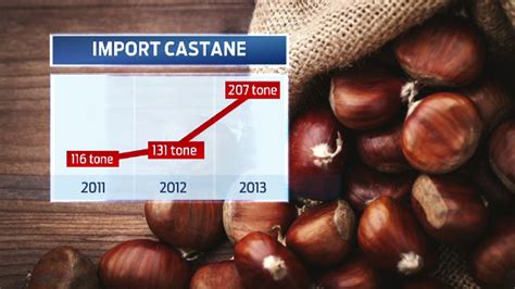 Aroma De Toamna A Afacerilor In Cat Timp Se Recupereaza O Investitie