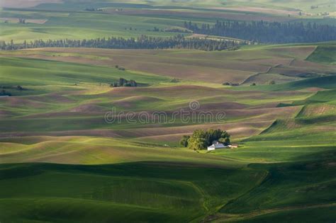 Steptoe Butte State Park Stock Image Image Of Crop