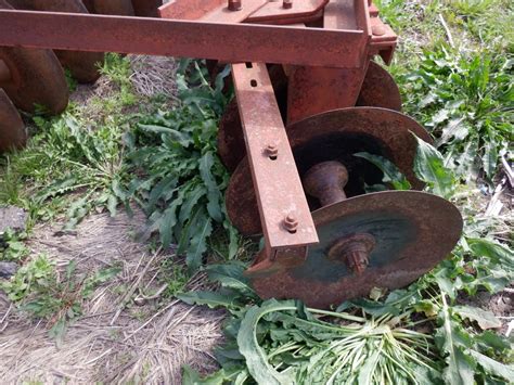 Massey Ferguson 39 9 3pt Mounted Disk Harrow Bigiron Auctions