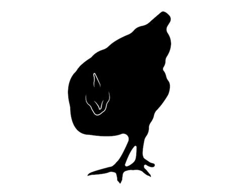 Premium Vector Vector Chicken Silhouette Isolated On White Background