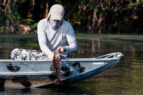 Entenda Mais Sobre A Pesca Esportiva