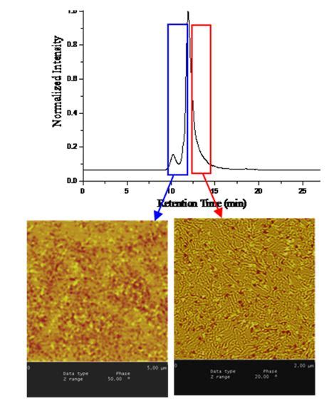 Novel Gradient Elution Chromatography Atomic Force Microscopic Hyphenated Offline Coupling