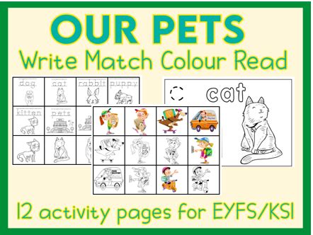 pets  activity sheets eyfs  ks teaching resources
