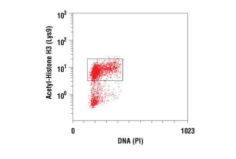 Acetyl Histone Antibody Sampler Kit Cell Signaling Technology