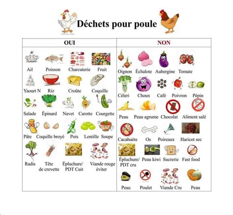 Aliments Toxiques Pour Les Poules Nourriture De La Poule Artofit