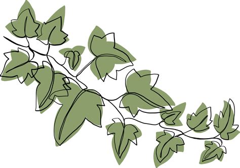 Free Simplicity Ivy Freehand Drawing 23205341 PNG With Transparent