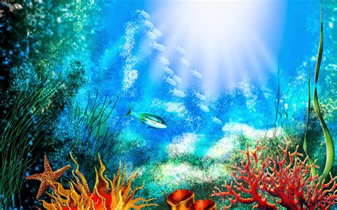 Coral Reef Fish - HD Wallpapers | Earth Blog