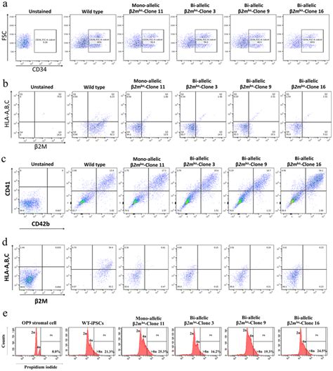 Flow Cytometry Dot Plot Of Progenitor Cells Isolated From Es Sacs