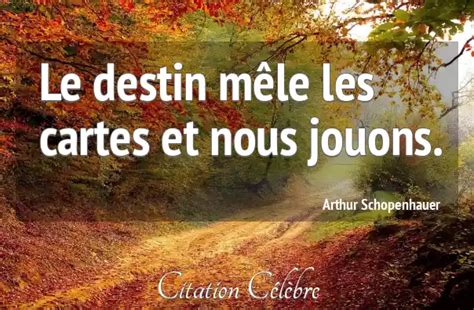 Citation Arthur Schopenhauer Destin Le Destin Mêle Les Cartes Et Nous