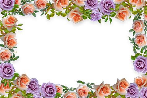 Floral Frame Background Graphic by Fstock · Creative Fabrica