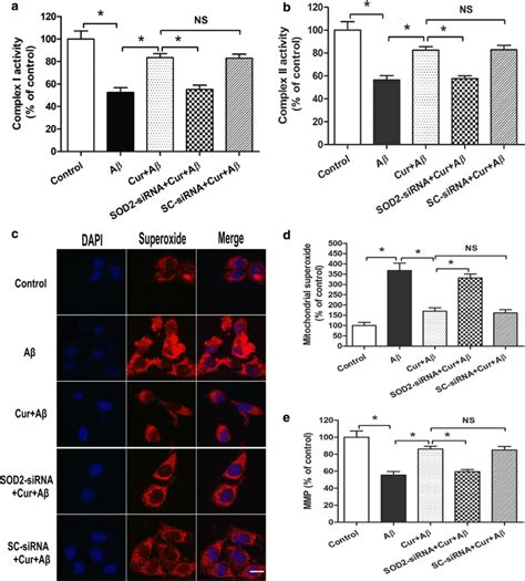 SOD2 SiRNA Reversed Curcumin Induced Ameliorations Of Mitochondrial