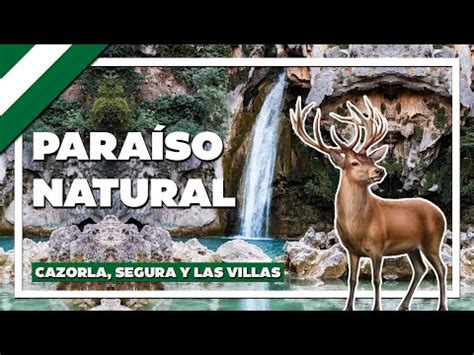 Que Hacer Con Niños En Sierra De Cazorla Casas rurales Cazorla