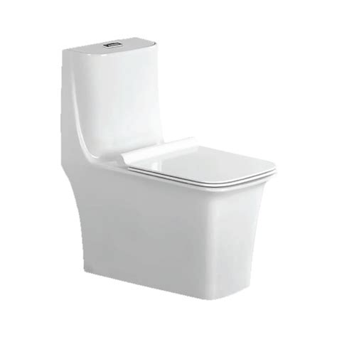 Parryware Reeve Single Piece Suite S 220 C8900 White NellaiCeramic