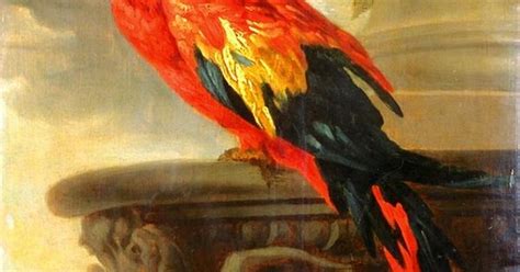 Parrot By Sir Peter Paul Rubens Art Experience Nyc