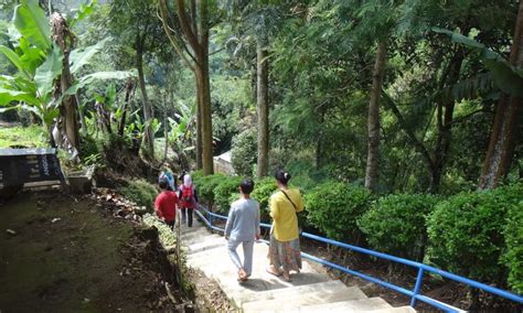 Curug Muara Jaya Pesona Wisata Air Terjun Eksotis Di Majalengka De Java