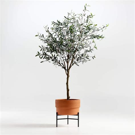 Ruan Large Planter With Artificial Olive Tree Crate And Barrel Faux