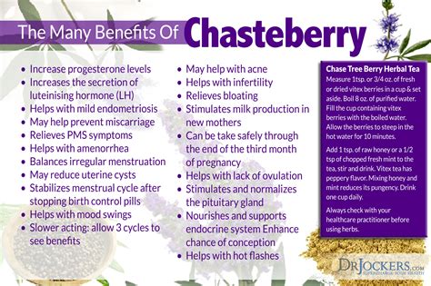 6 Benefits Of Chasteberry For PMS DrJockers