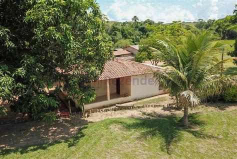 Tima Fazenda A Venda De Alqueires Hectares Em Padre