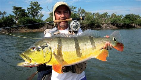 Pesca En Colombia 】mejores Lugares Para Ir A Pescar Espesca