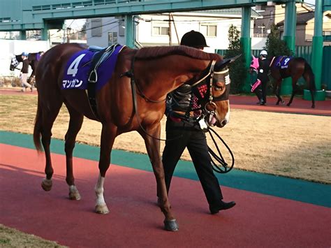 【gw地方競馬重賞予想企画・トリップ7 その7】東京湾カップ（船橋） 小堺翔太オフィシャルブログ『ショウタパドック』powered By