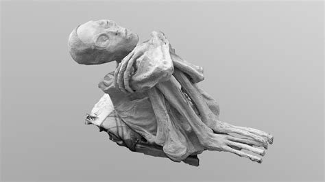 Unearthing Nazca Mummy Download Free 3d Model By Fgermain 366a555