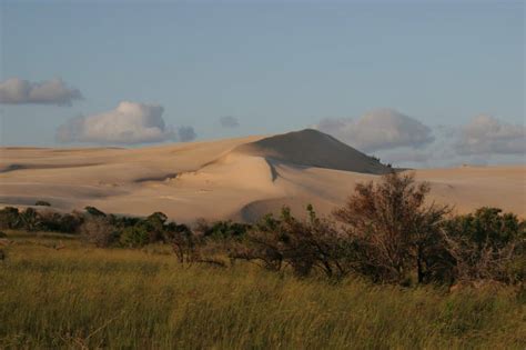 Free picture: sand dune, landscape, sand, mountain, foliage, tree, blue sky, outdoor, grass, nature