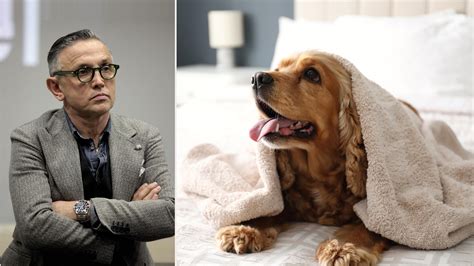 4 Hotel di Barbieri: tra Rimini e Riccione ecco il miglior albergo pet