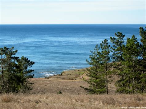 5 Beautiful Cambria Hiking Trails | TouristBee