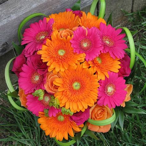 Beautiful Gerbera Daisies In Hot Pink And Orange Hot Pink Wedding