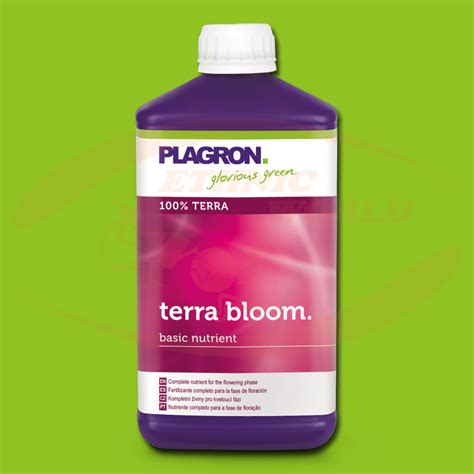 Plagron Terra Bloom Ethnic World