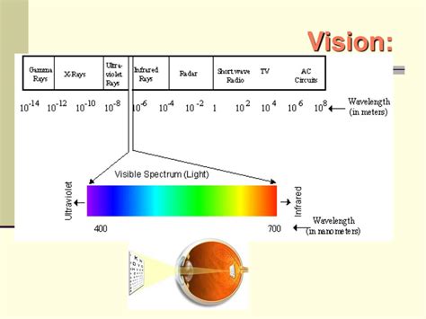 Ppt 14 Conjugated Compounds And Ultraviolet Spectroscopy Powerpoint Presentation Id 6601510