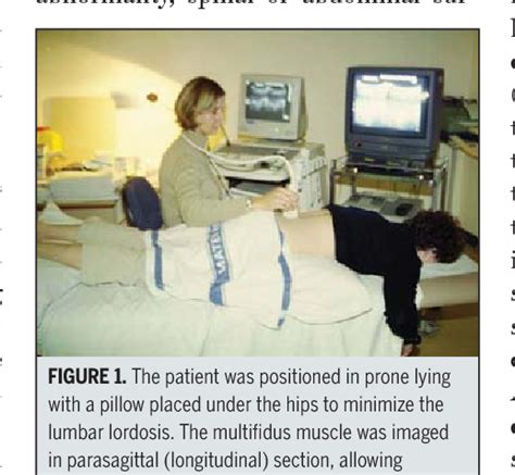 Figure 1 From Intrarater And Interrater Reliability Of Assessment Of Lumbar Multifidus Muscle