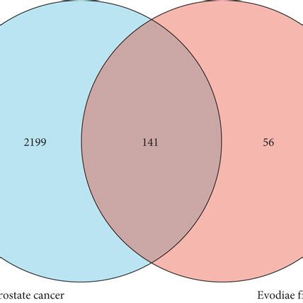 The Construction Of Drug Compound Target Disease Network And PPI