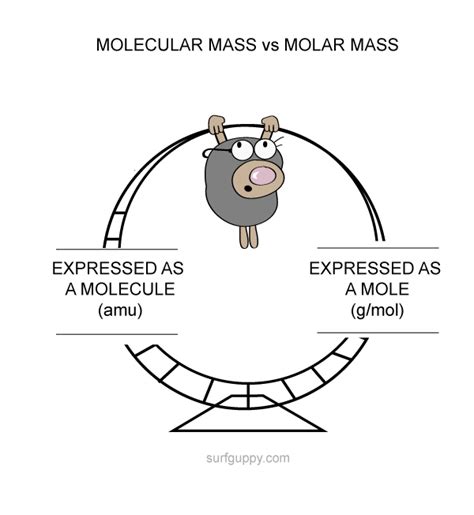 What is Molecular Mass? - Surfguppy - Chemistry made easy for visual learners