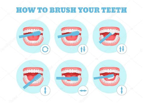 Esquema Paso A Paso Instrucciones Sobre Cómo Cepillarse Los Dientes Correctamente Infografías