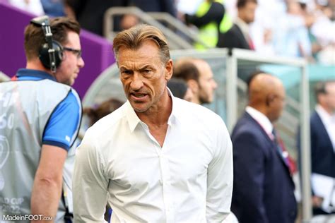 Equipe De France F Le Dossier Hervé Renard Proche Dêtre Finalisé