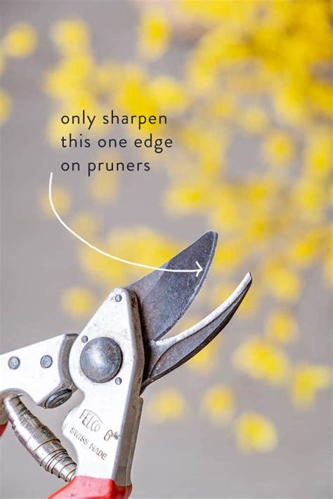 How To Maintain Your Garden Tools Garden Tools Sharpen Garden Tools