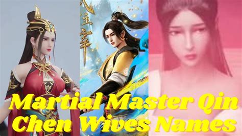 Martial Master Qin Chen Wives Names Explained In Hindi Novel Based