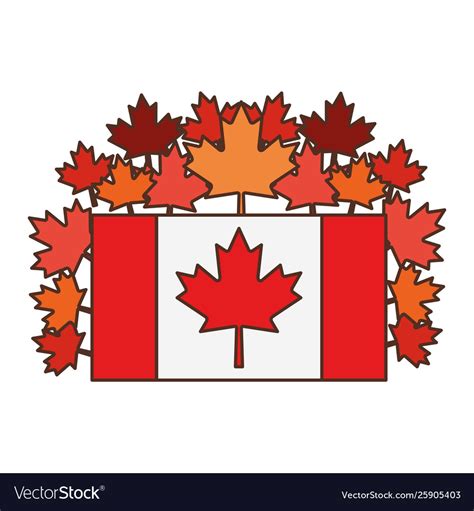 Maple leaf flag and canada symbol design Vector Image