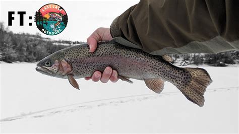 Multi Species Ice Fishing In The Utah Mountains Ft Lastcastoutdoors