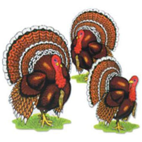 12'' Thanksgiving Turkey Cutouts (15/Pk) — Shimmer & Confetti