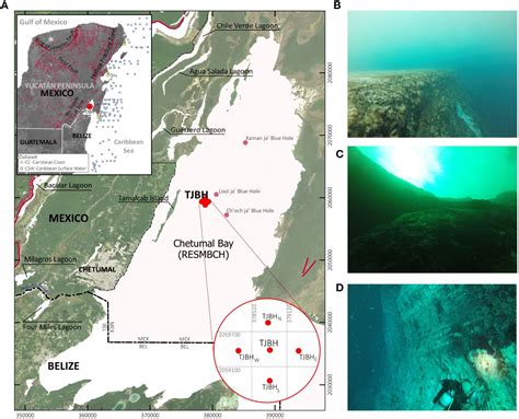 Hallan En Bah A De Chetumal El Agujero Azul M S Profundo Del Mundo