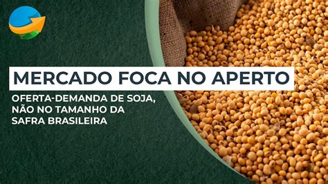 Mercado foca no aperto oferta demanda de soja não no tamanho da safra