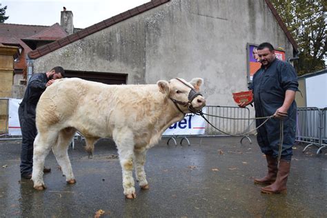 Une Finale Sous Le Signe De La Jeunesse Au Concours Dissy Lev Que